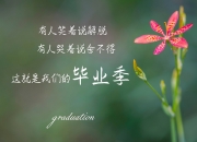 开云官网-寂静的杀机，当久保建英的左脚为亚洲足球刻下永恒烙印