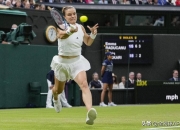 开云sport-包含温网翻盘蒙特卡洛大师赛，蒂姆状态火热的词条