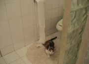 开云sport-越界猎杀，当西亚卡姆的利刃刺穿麦迪逊的夜晚