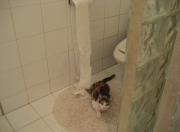 开云sport-越界猎杀，当西亚卡姆的利刃刺穿麦迪逊的夜晚