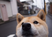 开云平台-生死七分钟，从天堂到地狱，希腊逆转背后的中国男篮窒息时刻