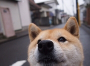 开云平台-生死七分钟，从天堂到地狱，希腊逆转背后的中国男篮窒息时刻