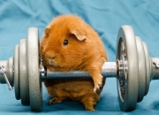 开云下载-跨海斩旗，广东队闪电战术击溃湖人，爱德华兹关键表现定乾坤