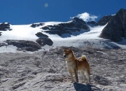 开云官网-时空错位记，当韩式胜利与斯通斯的冰球心灵同频共振