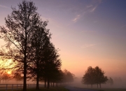 开云体育中国-奥运前哨战，76人横扫尼克斯展现国家队级攻防