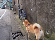 开云sport-当总决赛哨声吹响时，一个足球门将的影子笼罩了篮球架