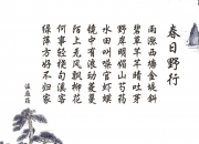 开云体育在线-桑巴之刃，2026世界杯B组生死战，罗德里戈用速度撕碎阿联酋防线