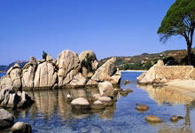 开云体育官网-北欧风暴席卷巴斯克，挪威闪电战击沉皇家社会