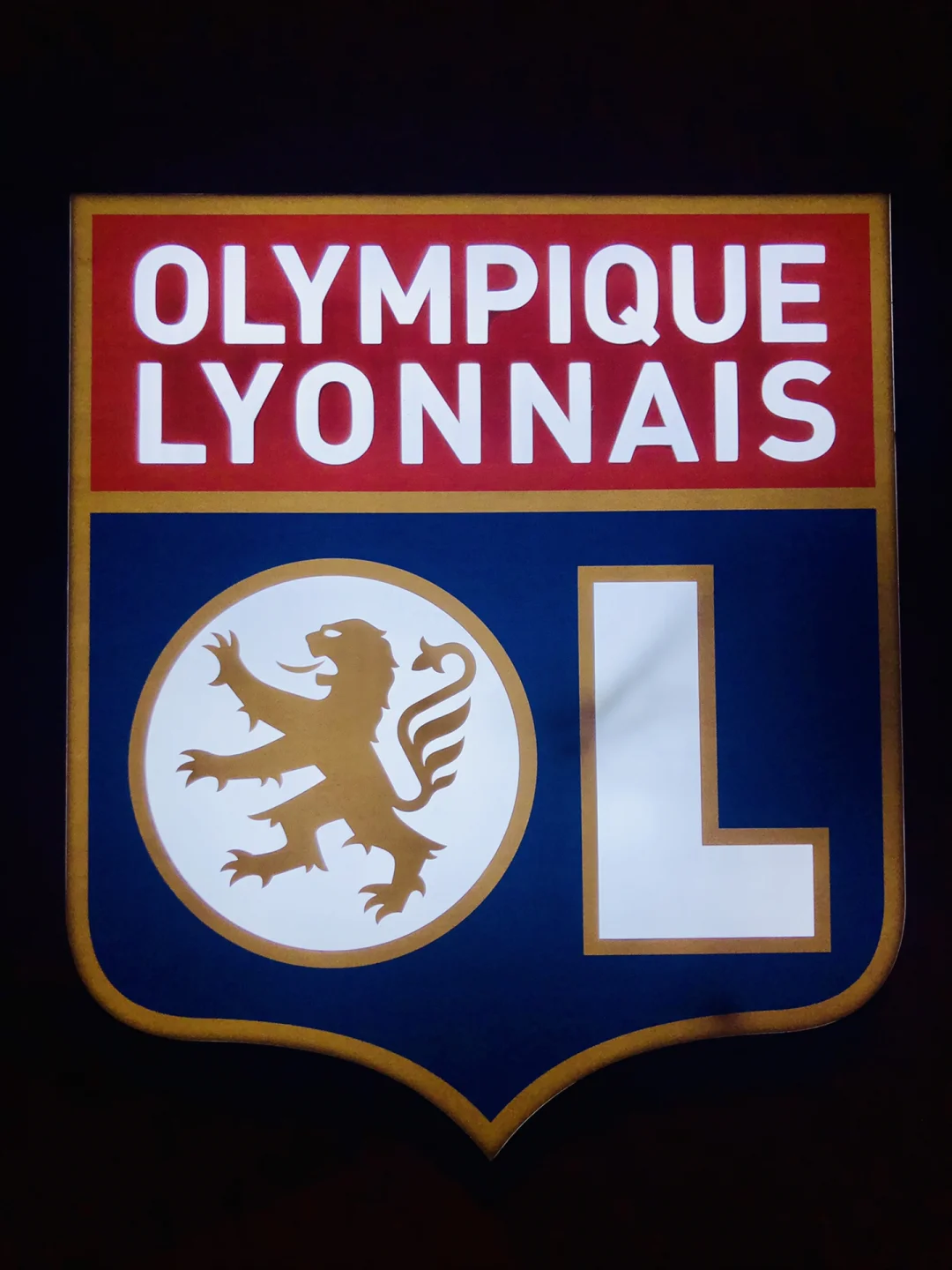 里昂队取得宝贵胜利,法甲积分榜再添分数的简单介绍 里昂队取得宝贵胜利,法甲积分榜再添分数的简单介绍