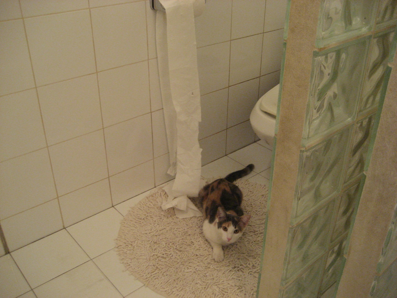 越界猎杀，当西亚卡姆的利刃刺穿麦迪逊的夜晚