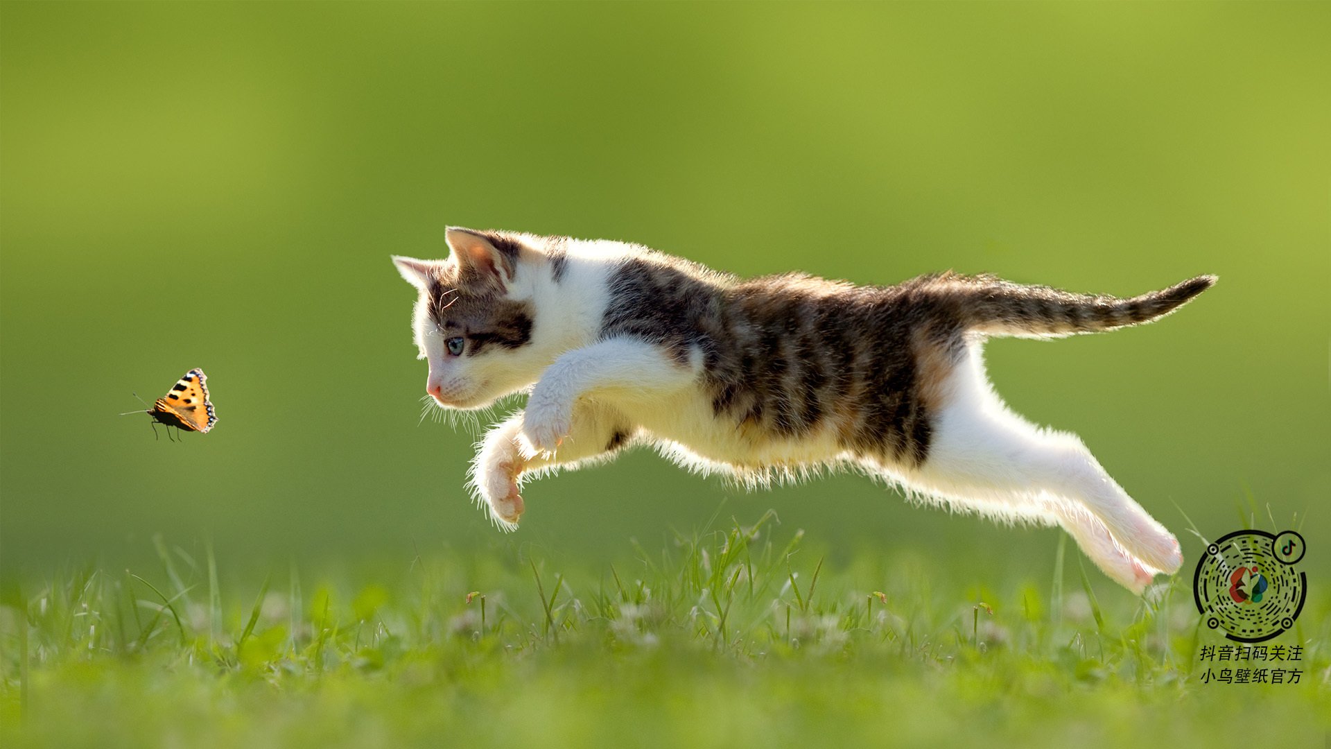 东方断剑重铸时，久保建英从暗影奔向伊蒂哈德之光