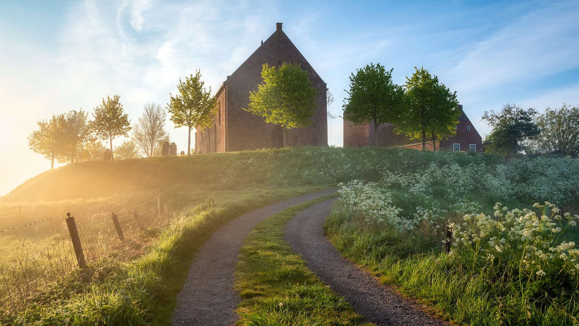 穿越疆界的绿茵灵魂，当乌拉圭的洪都拉斯之夜遇见评分拉满的阿拉巴现象