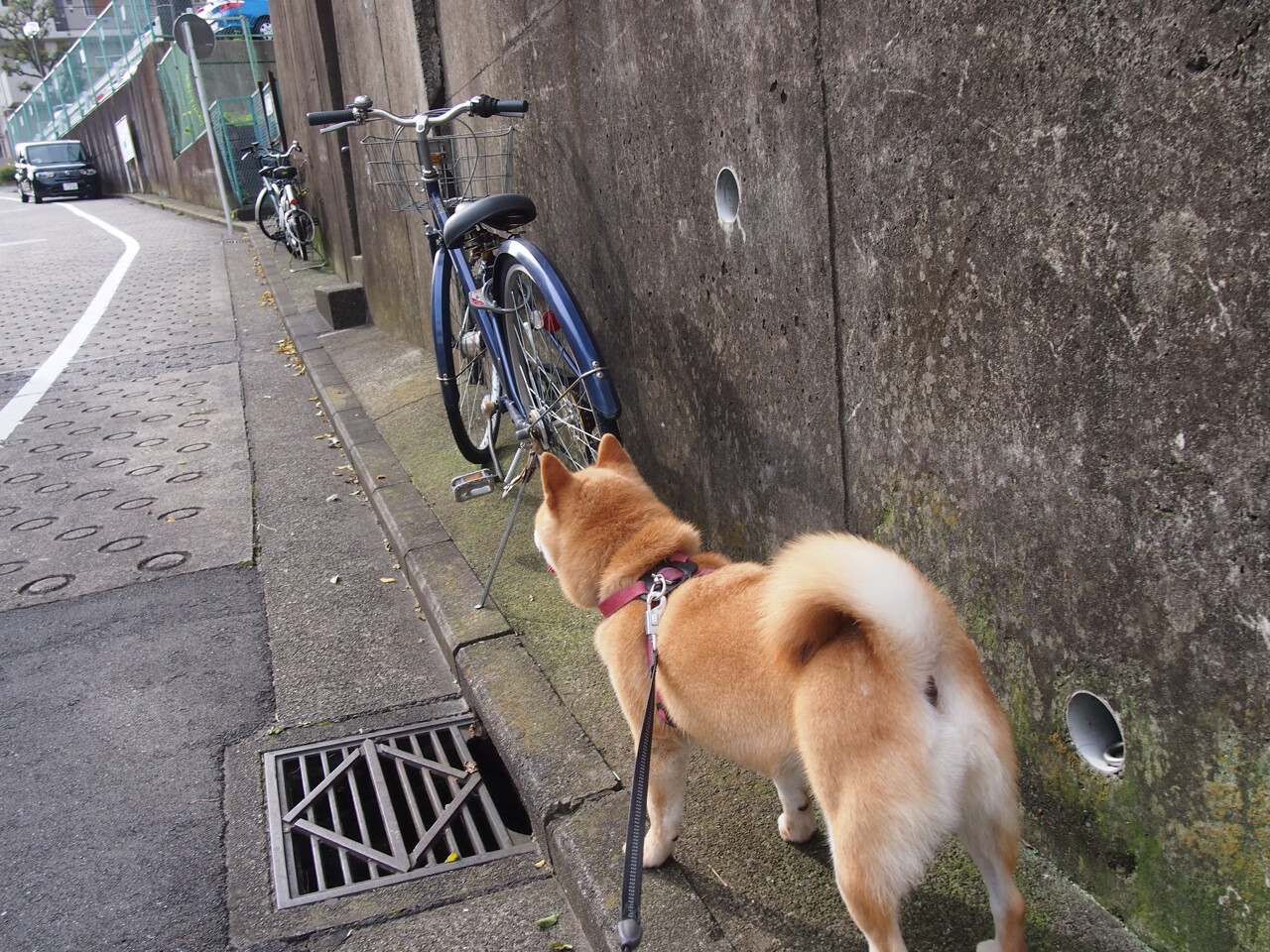 手术刀与堡垒，德布劳内的节奏魔法如何为爱尔兰切开马竞铁幕