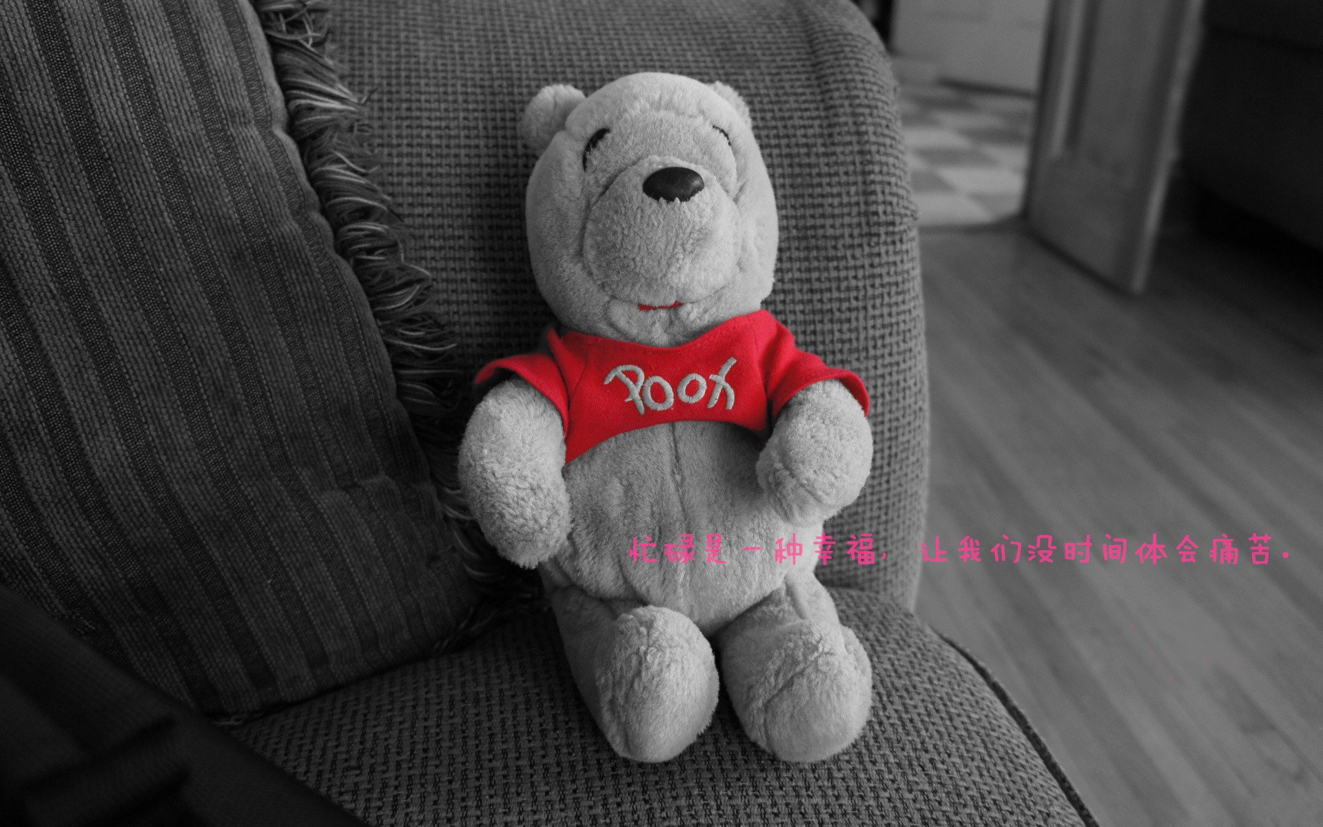 尼斯与希腊，一个标题的诞生，与若日尼奥的真正战场