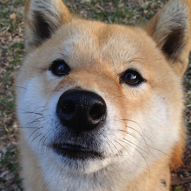 克莱的证明之夜,一个人的战役与一支队的胜利