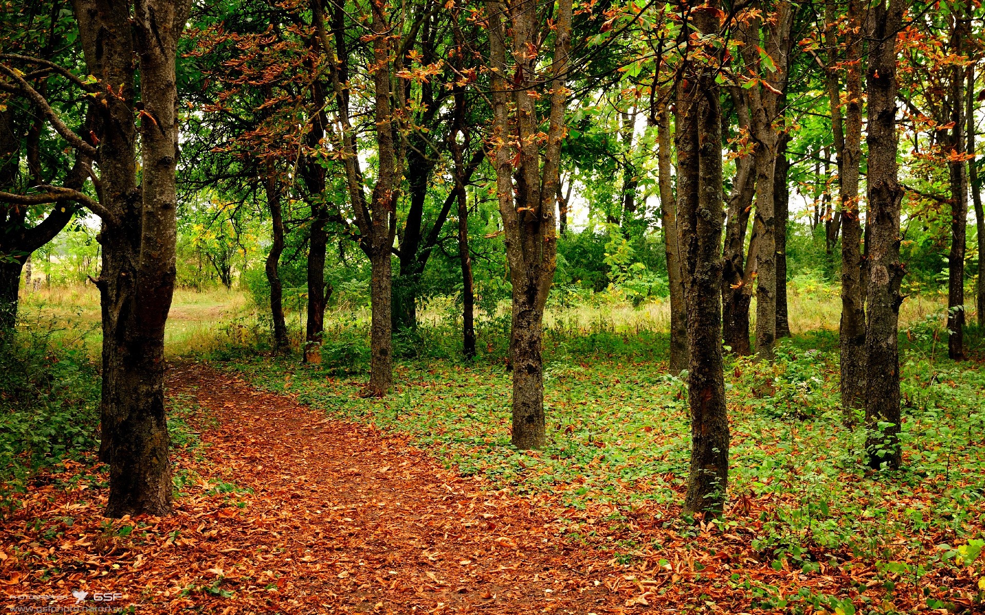 王牌对王牌！萨拉赫爆发难救主，AC米兰三分钟改写剧本