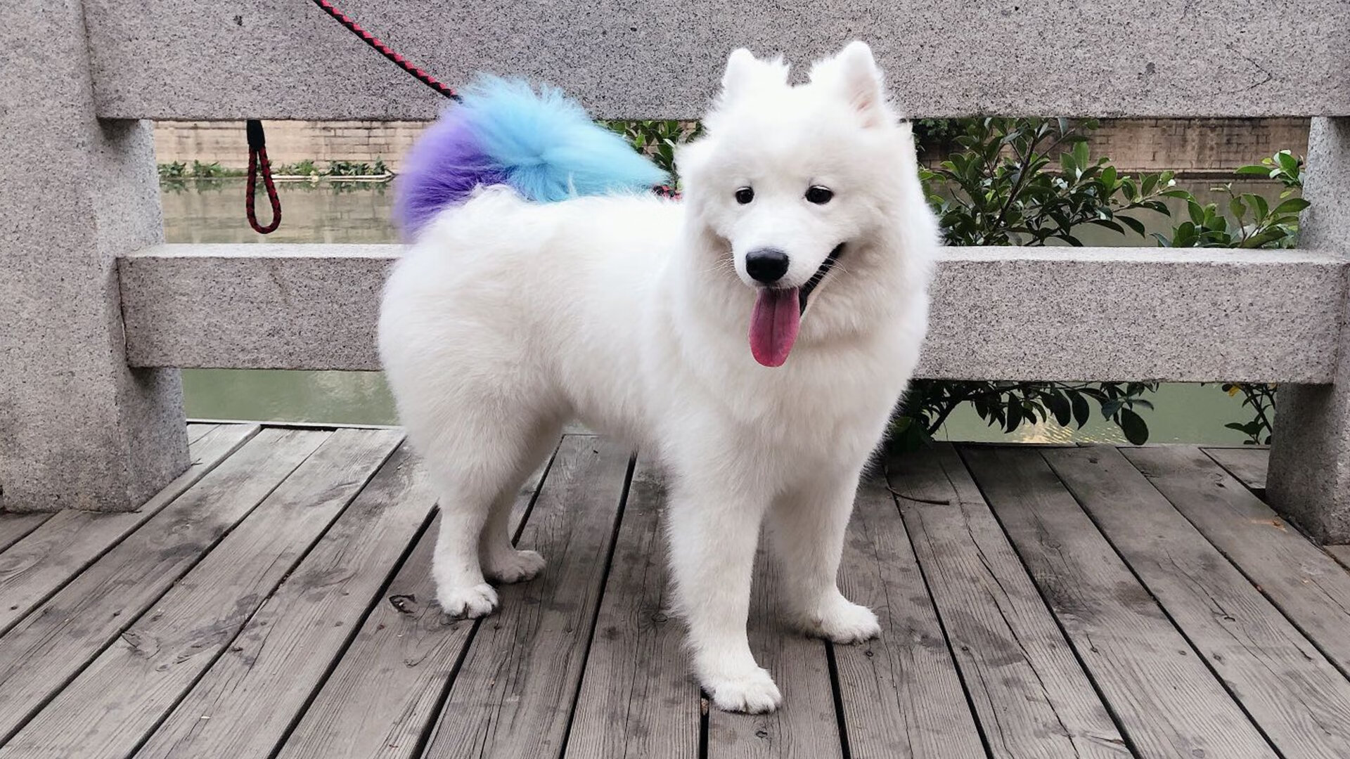 跨界烽火,独行侠迎战广厦队,贝恩火热状态点燃篮球盛宴