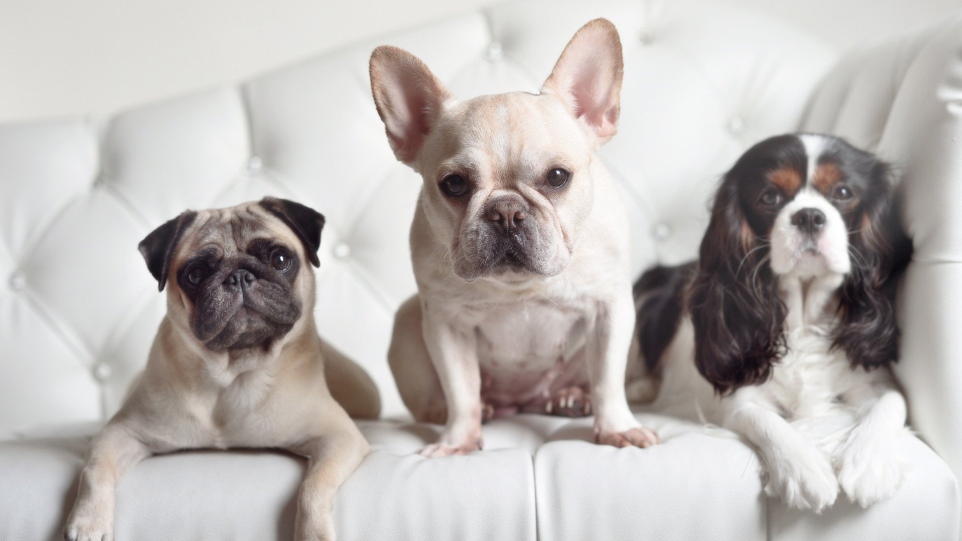 创历史!广东队爆冷战胜NBA劲旅雄鹿,班凯罗逆天表现成关键先生