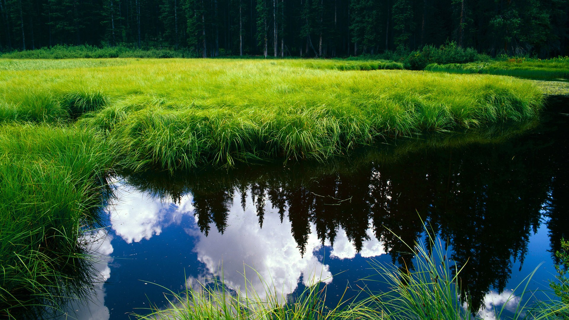 隔空对决,北京队铁血末节 vs 老鹰双加时,哈利伯顿的东方回响