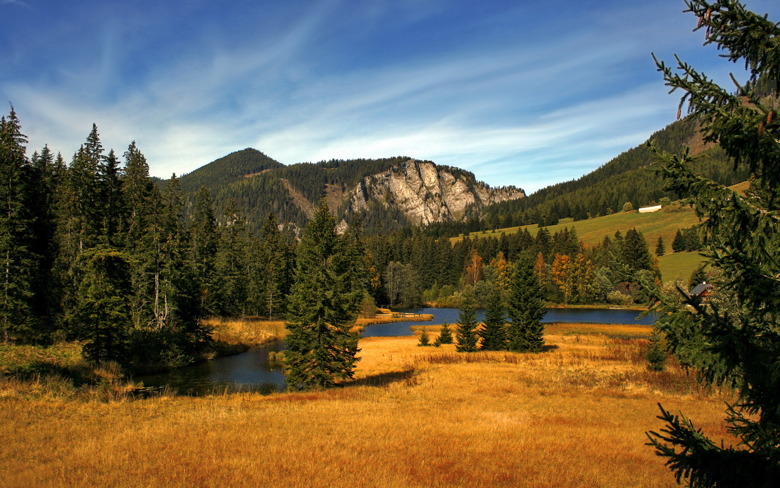 南美风暴击碎高卢防线—迪亚斯一人之力改写北伦敦命运