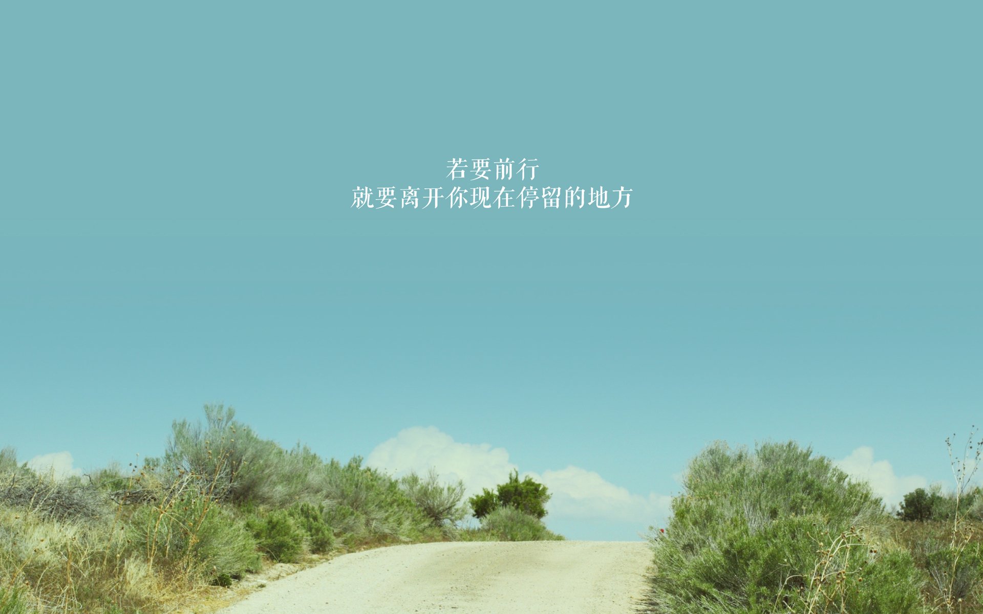 防守的真空，当东契奇将篮球场变成他的私人画布