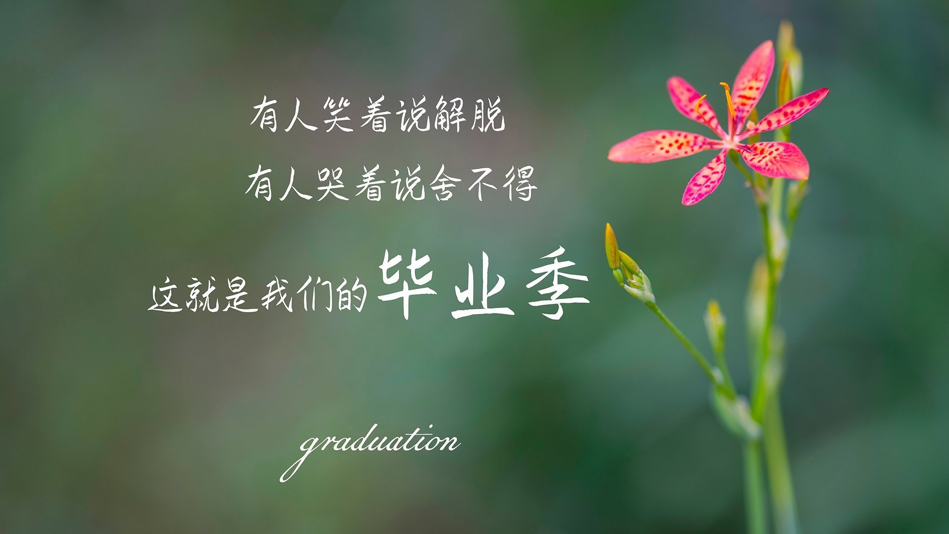 寂静的杀机,当久保建英的左脚为亚洲足球刻下永恒烙印
