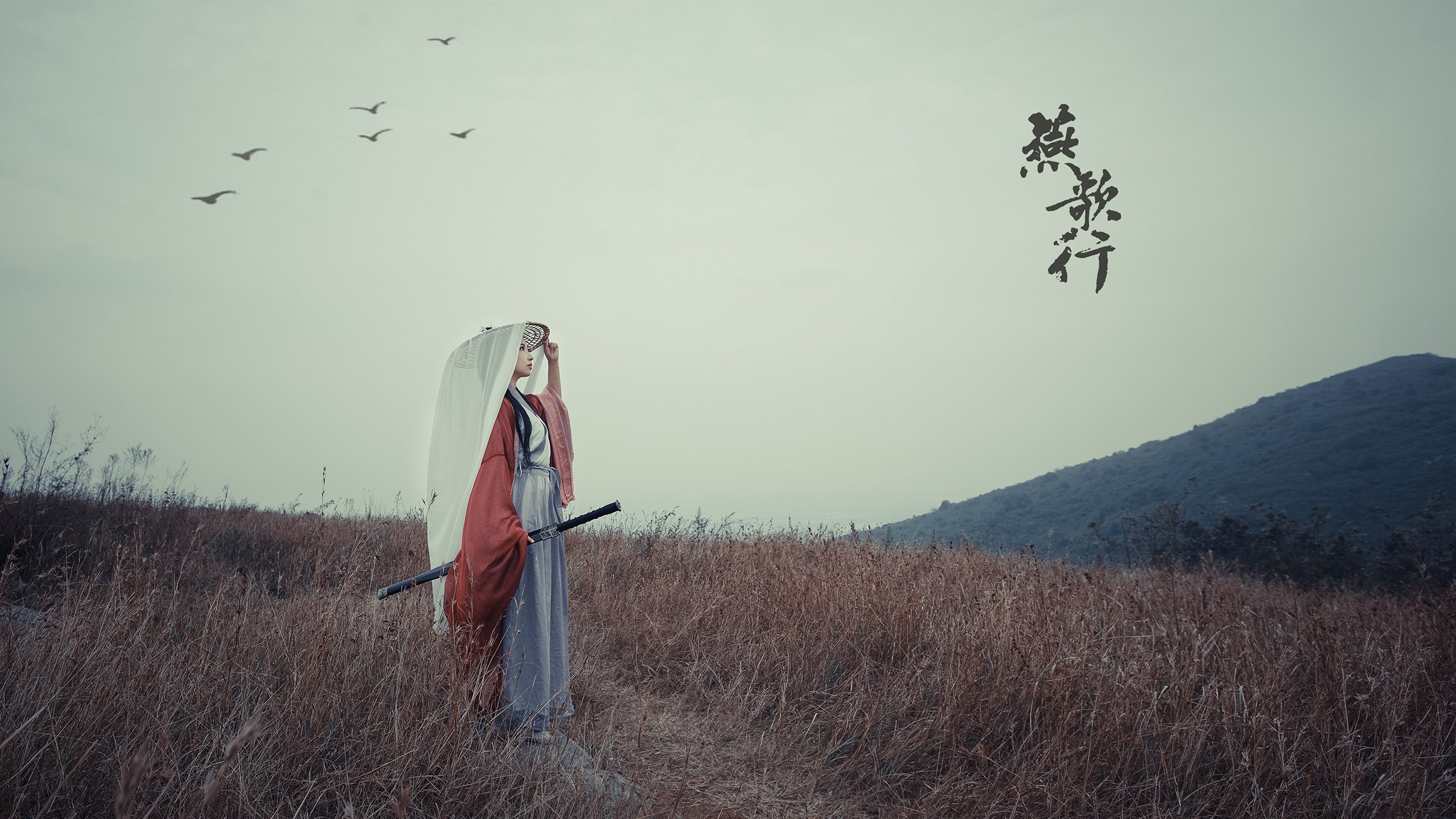 孤星独耀，2026世界杯A组关键战，阿根廷碾压卡塔尔，努涅斯孤军带队逆转取胜