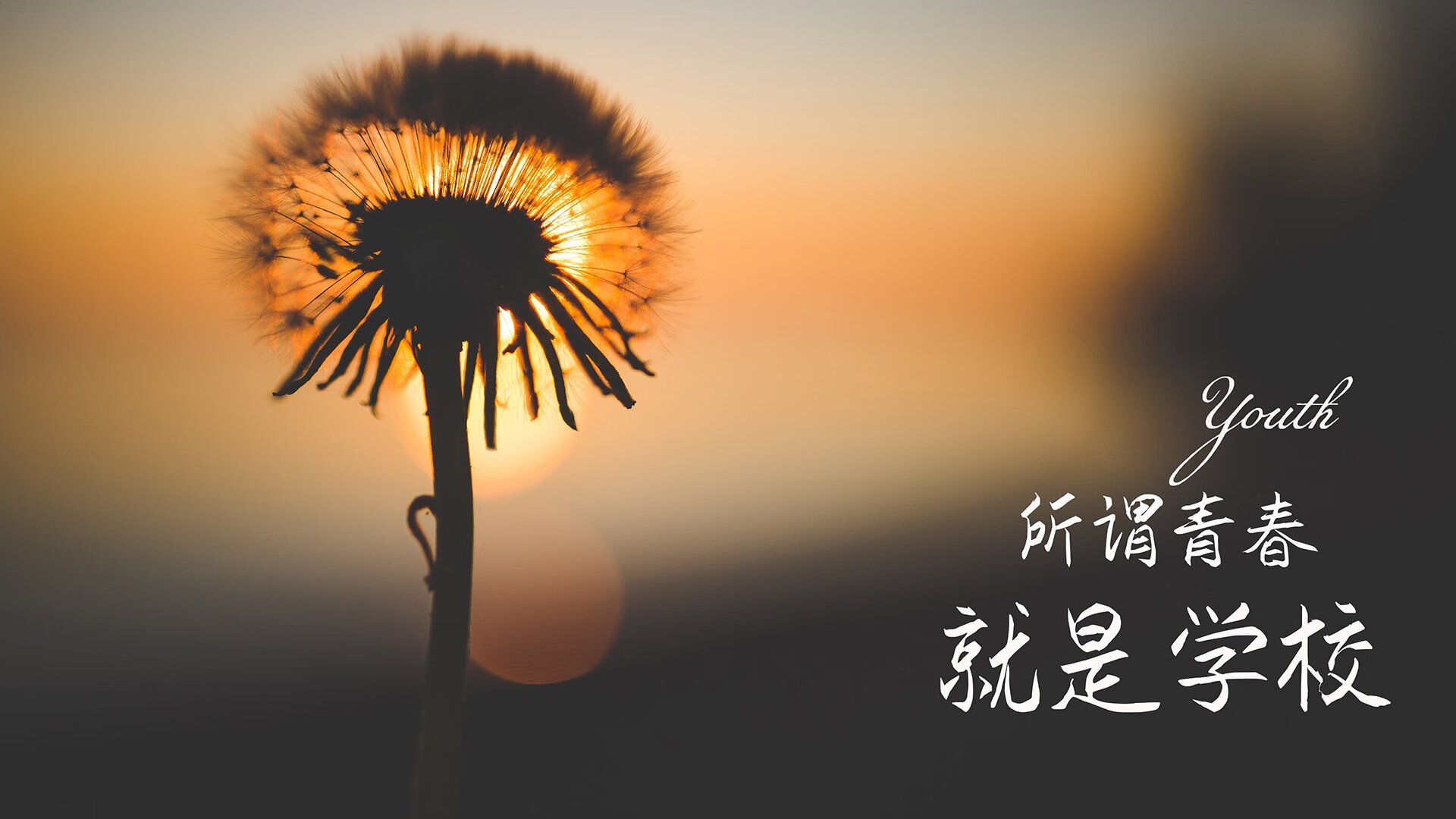 北欧神话,当挪威的冰山压垮亚平宁的蓝,莱万在黄昏写下最后的绝唱