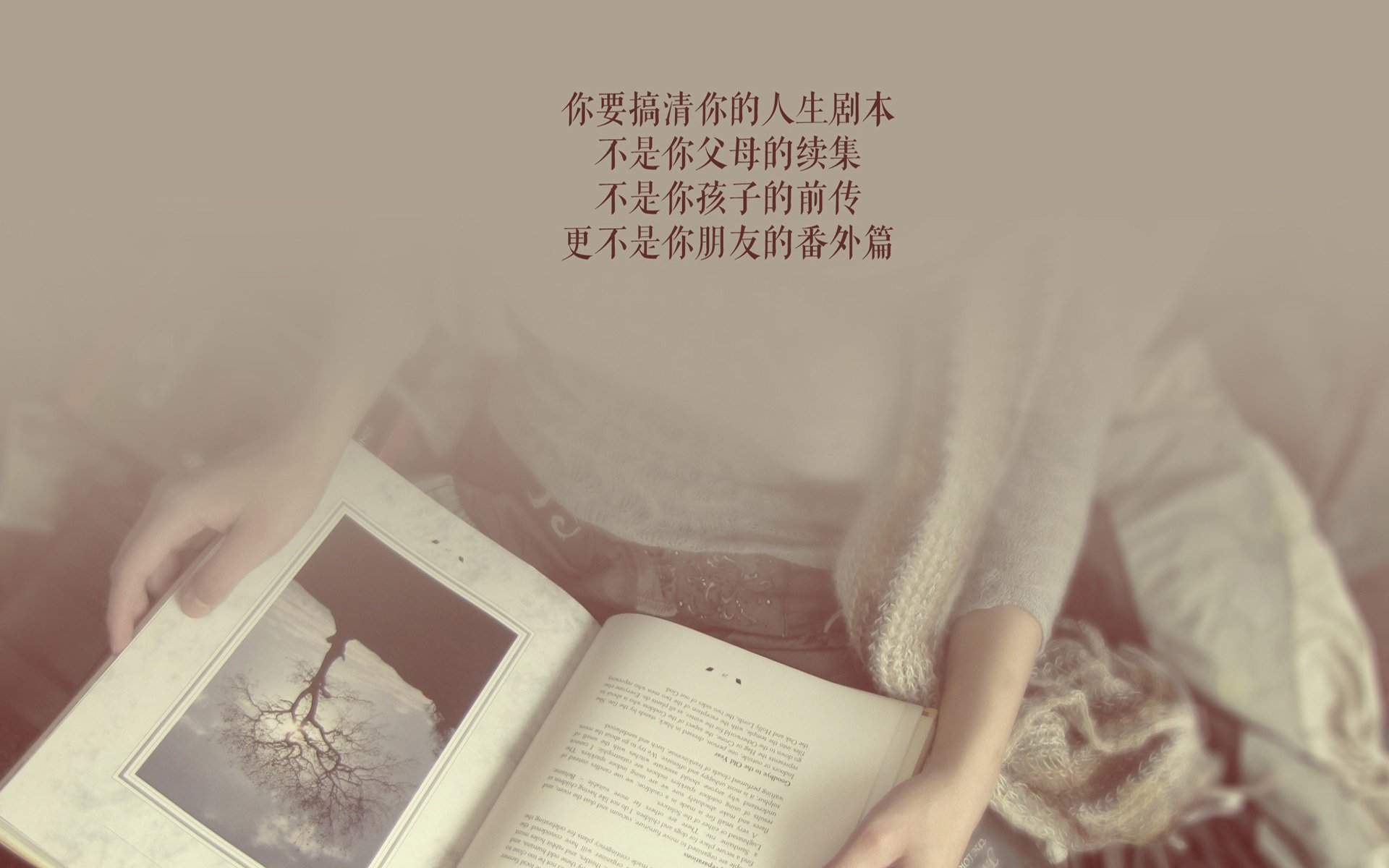 北非德比的血色黄昏，佩德里导演复仇之夜，突尼斯用十秒刺穿摩洛哥百年宿怨